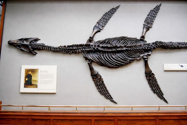 Mary Anning’s 1821 discovery of the first recognized plesiosaur fossil at Lyme Regis, Dorset.